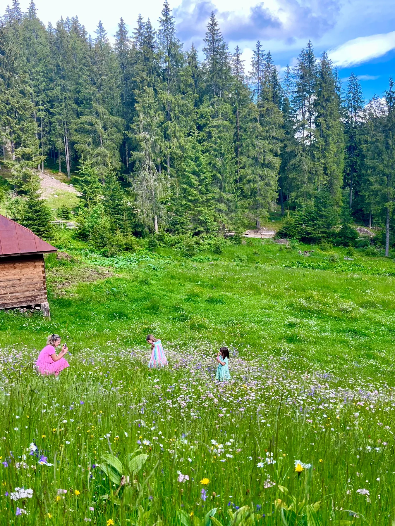 Copii pe pajiștea cu flori de la Cabana KayLuna