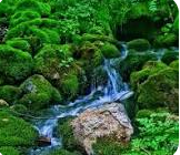 Izbucul Matisesti, plimbare usoara aproape de Cabana KayLuna, Muntii Apuseni