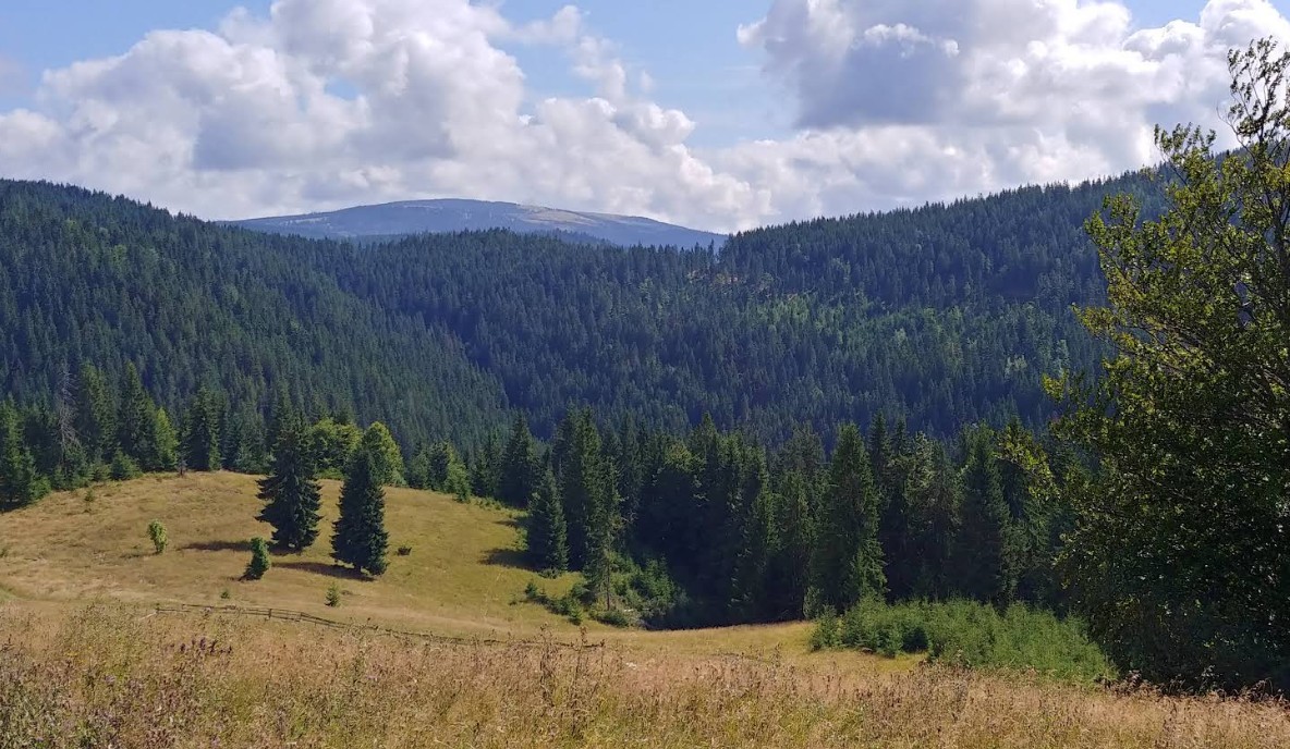 Pestera Darninii, traseu usor aproape de Cabana KayLuna, Matisesti, Muntii Apuseni